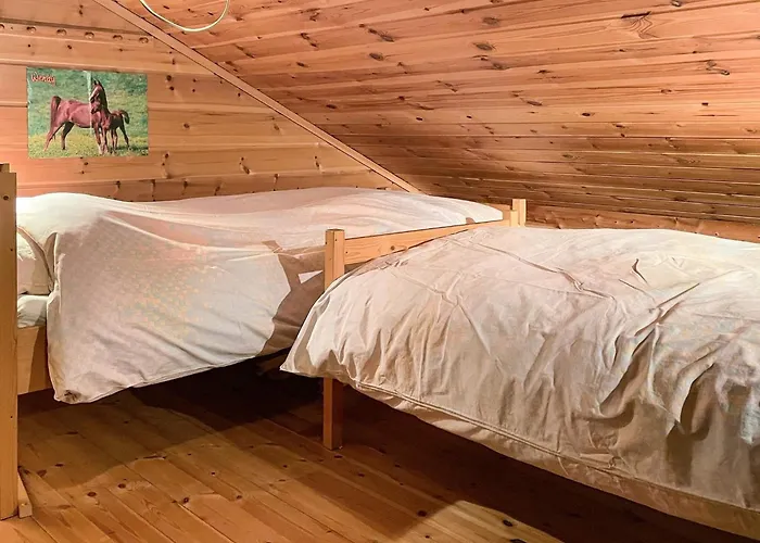 7 Person In Hjelmeland